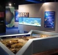 Marine and Freshwater Discovery Centre - Accommodation Great Ocean Road