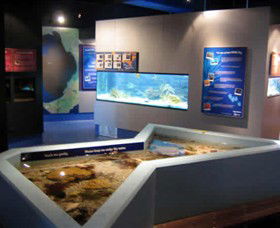 Marine And Freshwater Discovery Centre - Accommodation Great Ocean Road 0