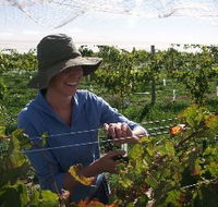 Kingsdale Wines - Accommodation Great Ocean Road