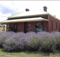 Lavender House in Railway Park - Accommodation Great Ocean Road
