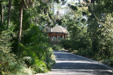Royal Botanic Gardens Victoria - Accommodation Great Ocean Road 0