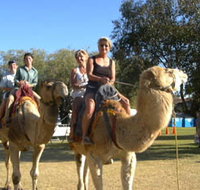 Calamunnda Camel Farm - Accommodation Great Ocean Road