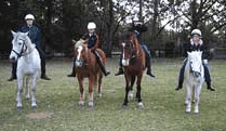 Valhalla Horse Riding - Accommodation Great Ocean Road 1
