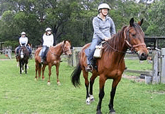 Valhalla Horse Riding - Accommodation Great Ocean Road 2