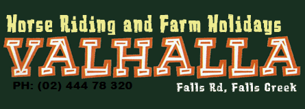 Valhalla Horse Riding - Accommodation Great Ocean Road 4