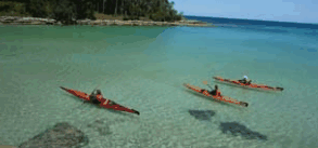 Jervis Bay Kayak & Paddlesports - Accommodation Great Ocean Road 4