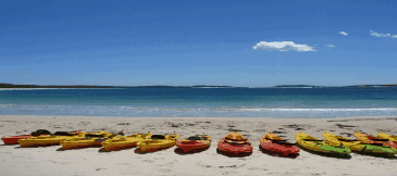 Jervis Bay Kayak & Paddlesports - Accommodation Great Ocean Road 5