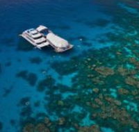 Great Adventures Reef and Green Island Cruises - Accommodation Great Ocean Road