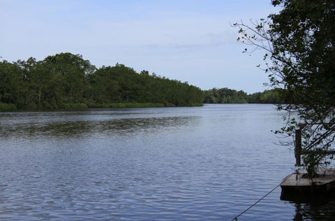 Daintree River Cruise Centre - Accommodation Great Ocean Road 2