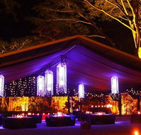 Flames Of The Forest - Accommodation Great Ocean Road