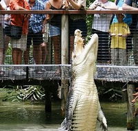 Hartley's Crocodile Adventures - Accommodation Great Ocean Road