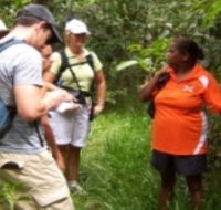 Ingan Tours - Spirit of the Rainforest Tour - Accommodation Great Ocean Road