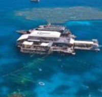 Quicksilver Cruises - Accommodation Great Ocean Road