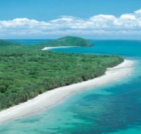 Reef and Rainforest Connections - Accommodation Great Ocean Road