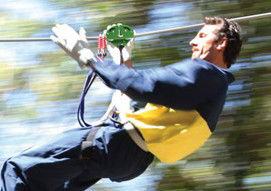 Adventure Parc - Accommodation Great Ocean Road 0