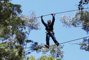 Adventure Parc - Accommodation Great Ocean Road 2