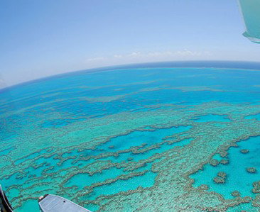 Air Whitsunday Seaplanes - Accommodation Great Ocean Road 0
