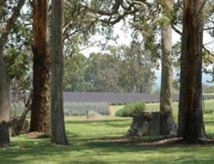 Stanthorpe QLD Accommodation Great Ocean Road