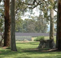 Aloomba Lavender - Accommodation Great Ocean Road