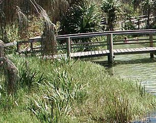 Australia Fraser Island Escape - Accommodation Great Ocean Road 1