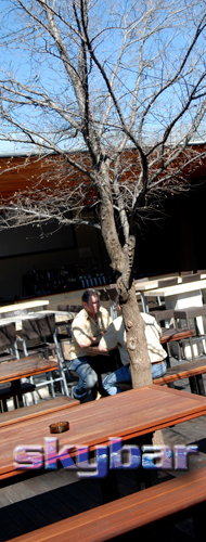 Alma Tavern - Accommodation Great Ocean Road 2