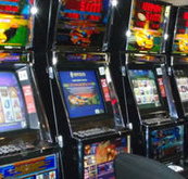 Katherine Country Club - Accommodation Great Ocean Road