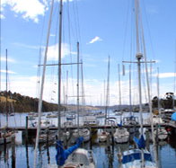 Oyster Cove Inn - Accommodation Great Ocean Road