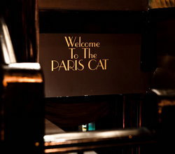 Paris Cat - Accommodation Great Ocean Road 1