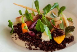 Royal Mail Hotel - Accommodation Great Ocean Road 2