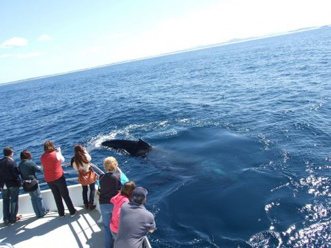 Illawarra Leagues Club - Accommodation Great Ocean Road 2