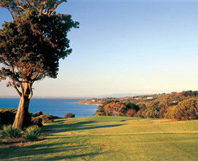 Mornington VIC Accommodation Great Ocean Road