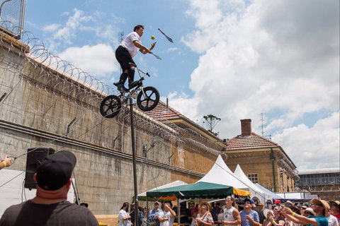 Bitter And Twisted Boutique Beer Festival - Accommodation Great Ocean Road 1