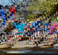 Duval Dam Buster Trail Run - Accommodation Great Ocean Road