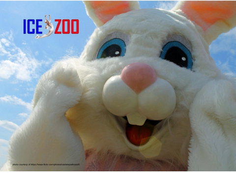 Easter Egg-stravaganza - Accommodation Great Ocean Road 0