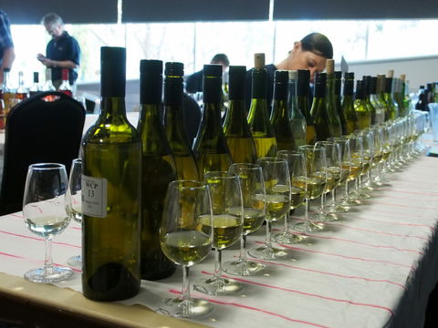 Eltham And District Wine Guild Annual Wine Show - 51st Annual Show - Accommodation Great Ocean Road 1
