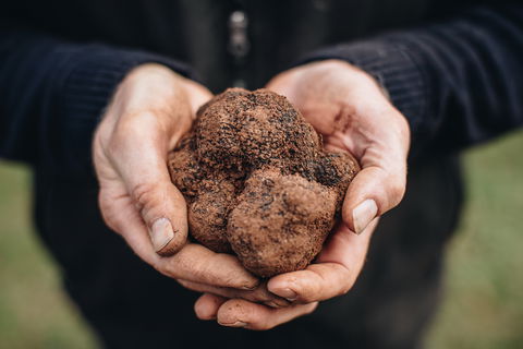 Feast And Forage - Craig's Royal Hotel - Accommodation Great Ocean Road 0