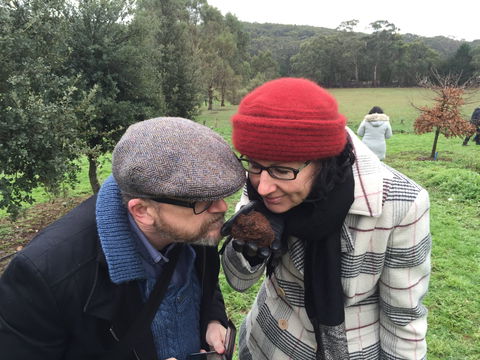 Feast And Forage - Craig's Royal Hotel - Accommodation Great Ocean Road 1