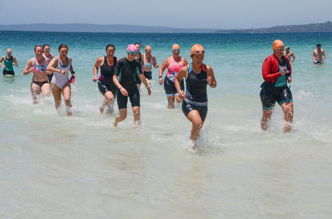 IGA Callala Triathlon Festival - Accommodation Great Ocean Road 0