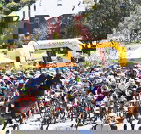 Snowies MTB Festival - Accommodation Great Ocean Road