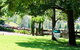 The Paterson Allyn Garden Ramble - thumb 0