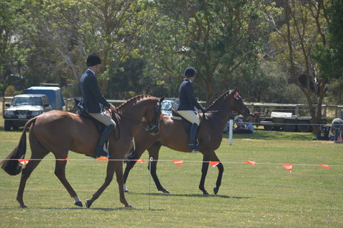 Yankalilla Show - Accommodation Great Ocean Road 2