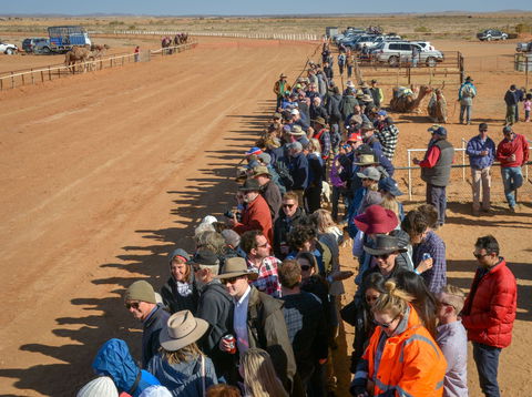 28th Marree Australasian CAMEL CUP 3 July 2021 - Accommodation Great Ocean Road 0