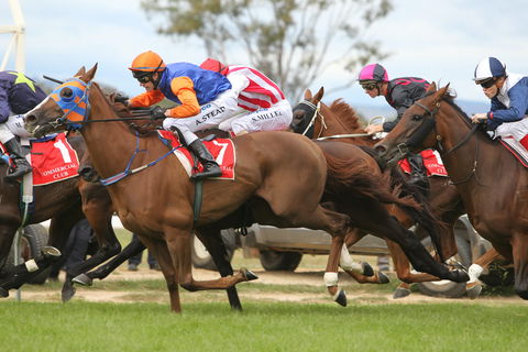 Albury Racing Club January Race Day - Accommodation Great Ocean Road 1