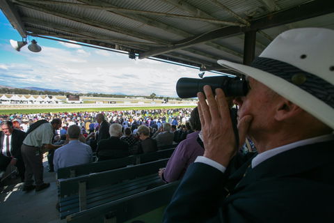 Albury Racing Club January Race Day - Accommodation Great Ocean Road 2