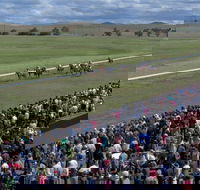 Cooma Sundowners Cup - Accommodation Great Ocean Road