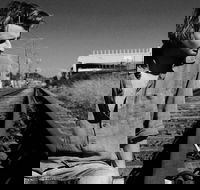 Music in the Gardens - Mitch King - Accommodation Great Ocean Road