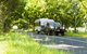 NSW Caravan Camping Holiday Supershow - thumb 1