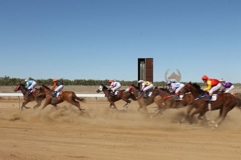 Annual Prairie Races - Accommodation Great Ocean Road 1