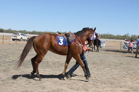 Annual Prairie Races - Accommodation Great Ocean Road 2