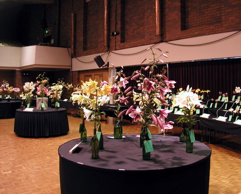 Burnie Lilium Show - Accommodation Great Ocean Road 0
